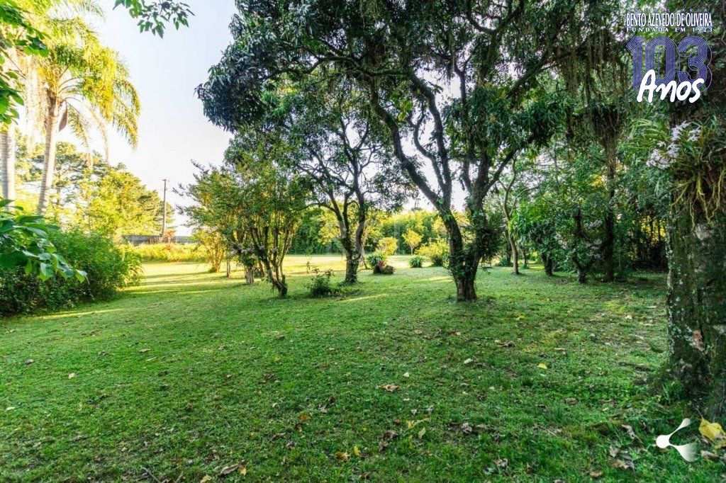 Terreno, 3 hectares - Foto 8