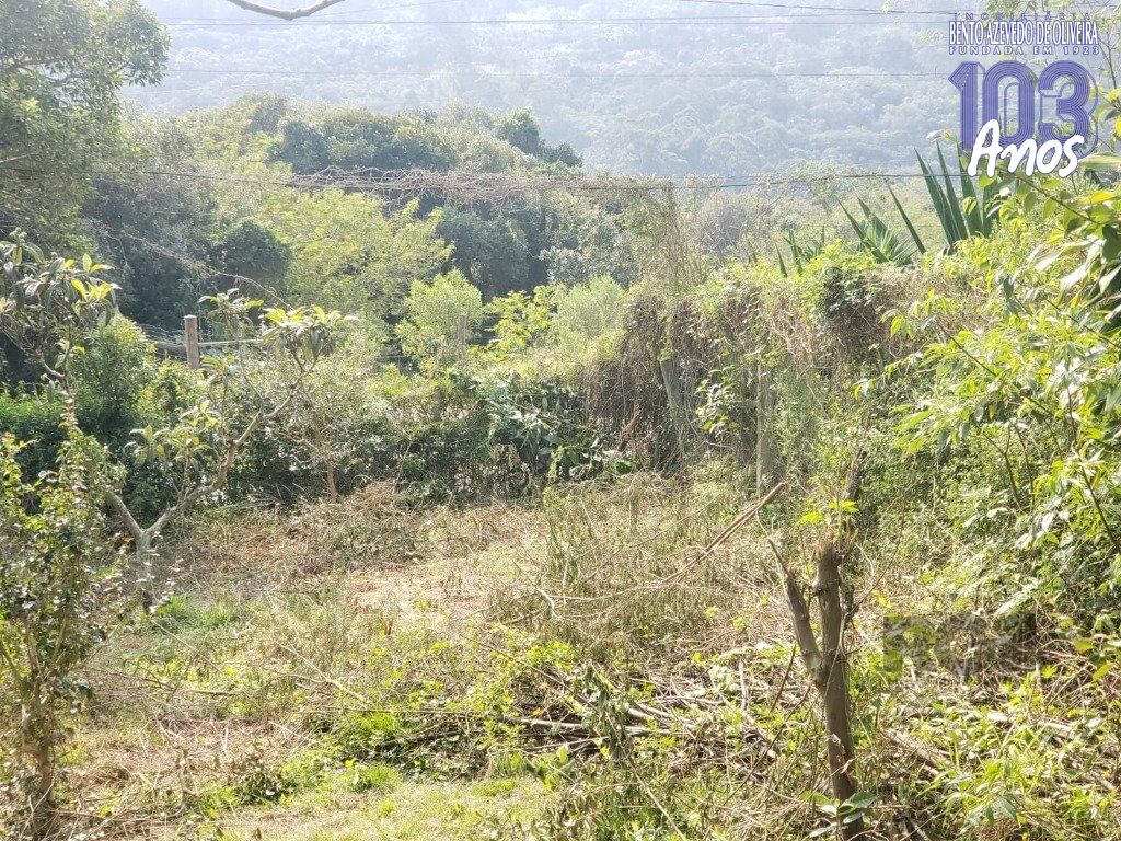 Terreno, 2003 m² - Foto 12