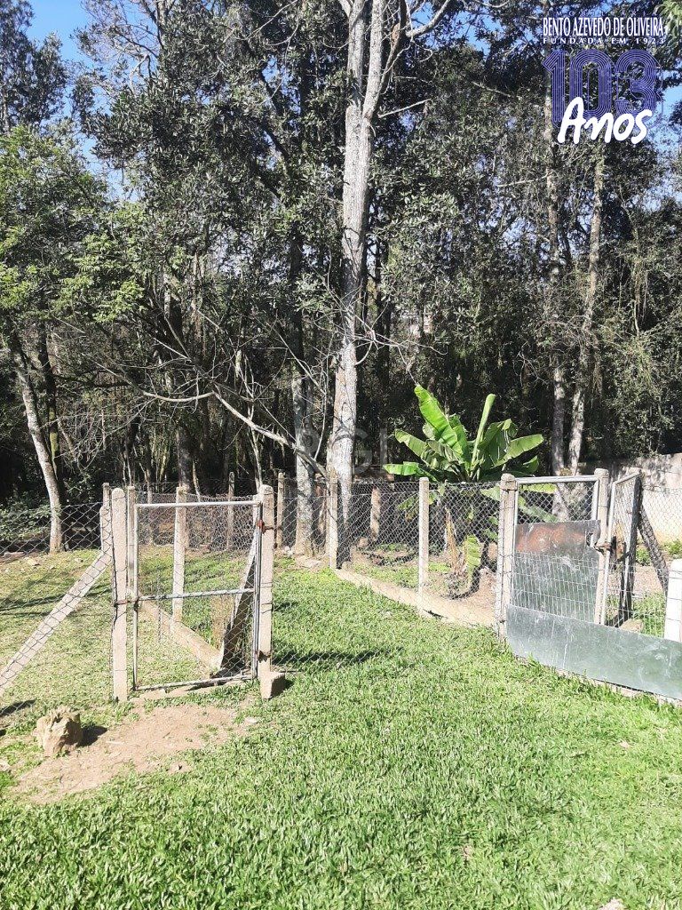 Terreno, 4526 m² - Foto 6