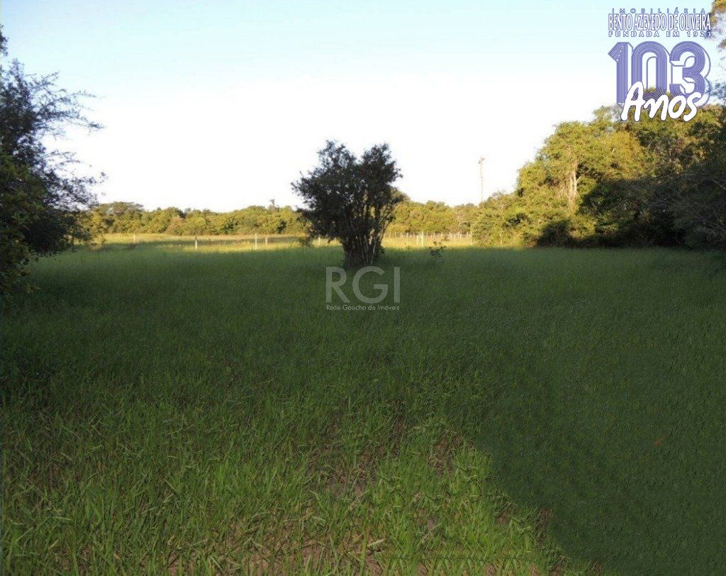 Chácara, 2 quartos, 2000 m² - Foto 1