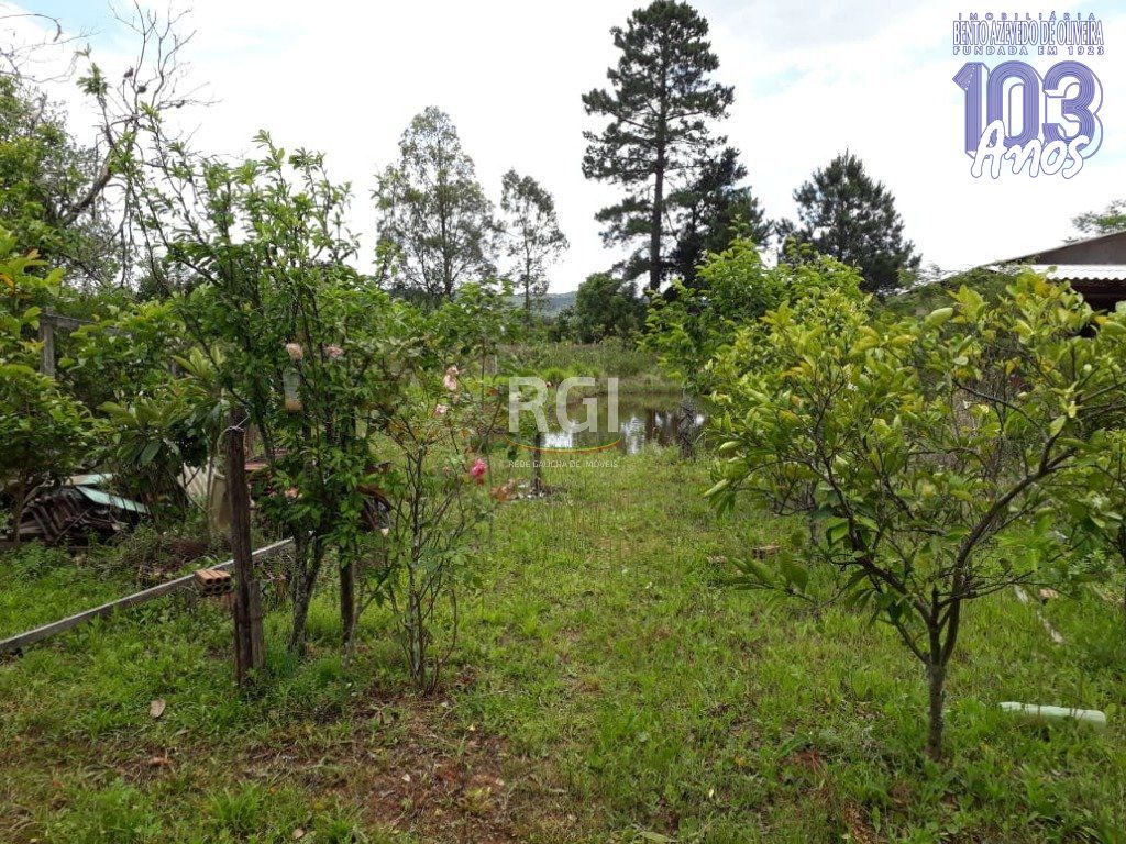Terreno, 990 m² - Foto 5