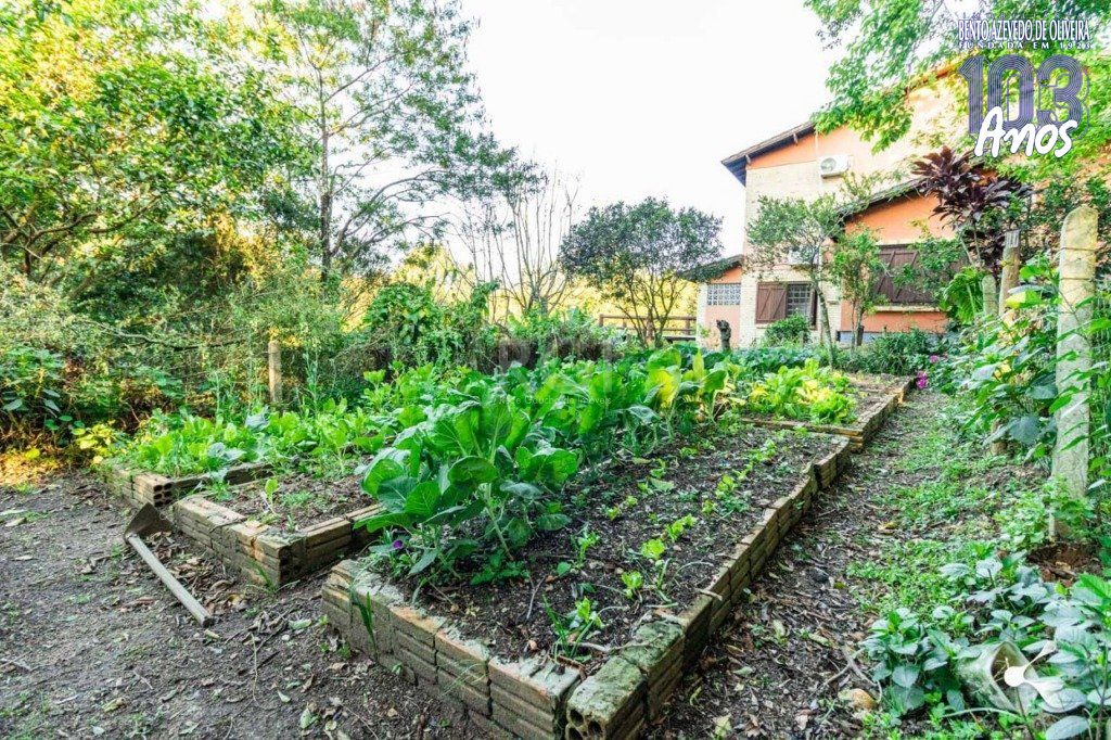 Terreno, 3 hectares - Foto 28
