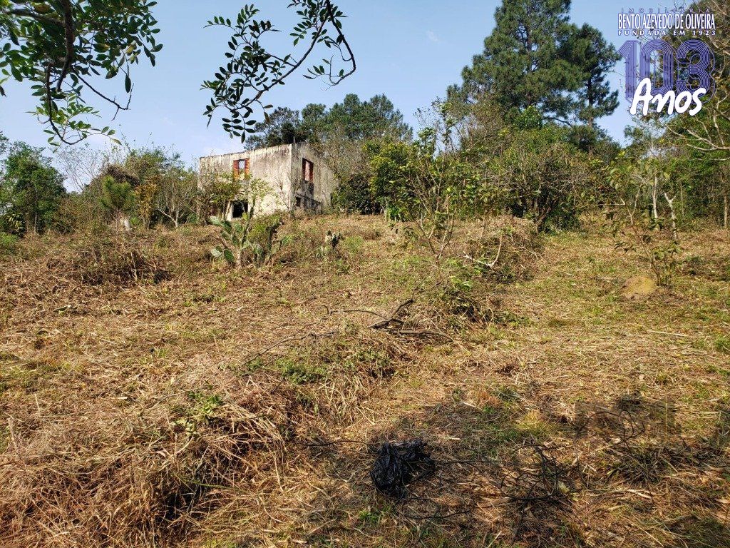 Terreno, 2003 m² - Foto 4