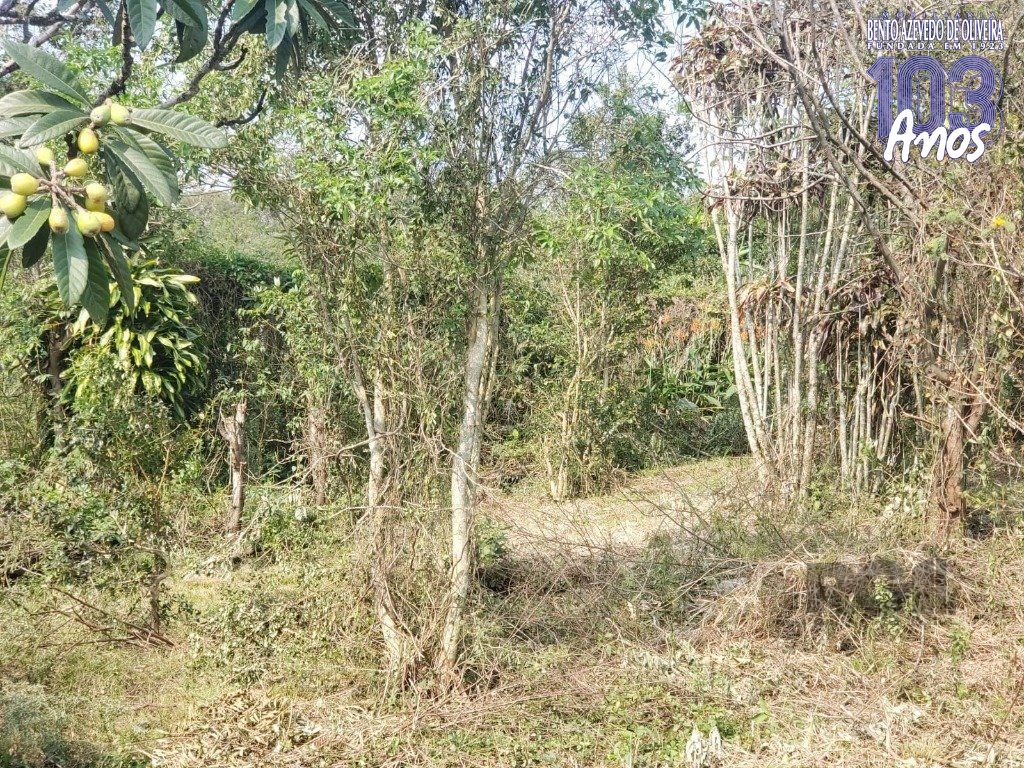 Terreno, 2003 m² - Foto 10