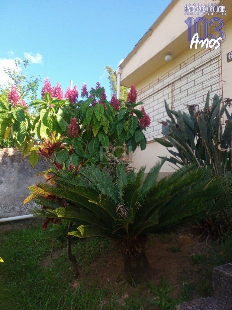 Terreno, 486 m² - Foto 2