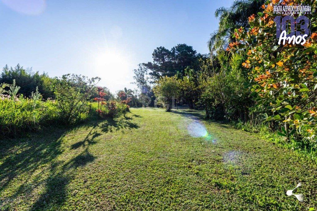 Terreno, 3 hectares - Foto 15