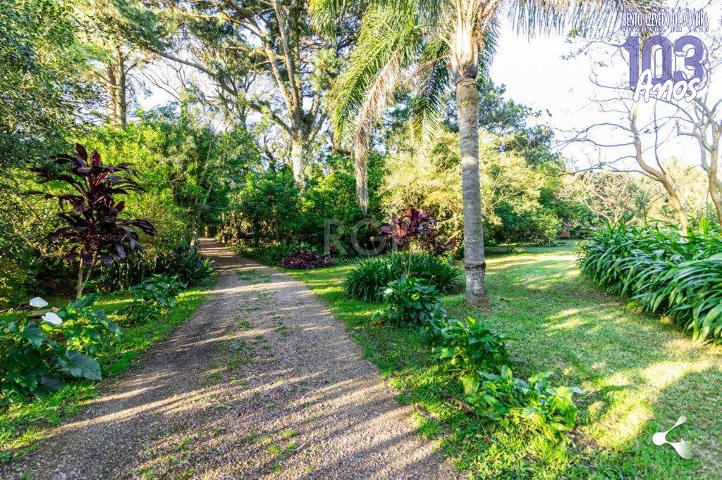 Terreno, 3 hectares - Foto 19