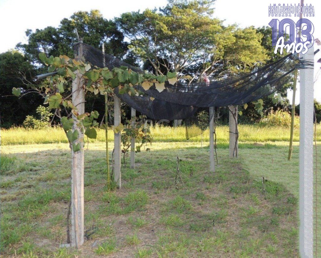 Chácara, 2 quartos, 2000 m² - Foto 9