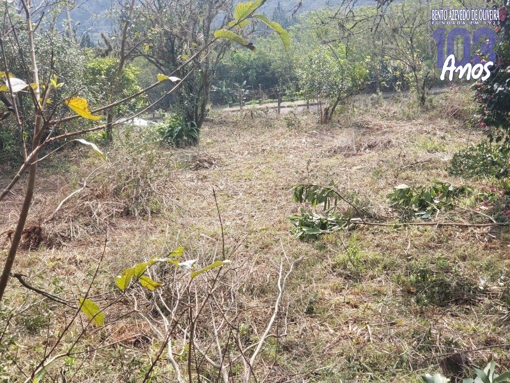 Terreno, 2003 m² - Foto 13