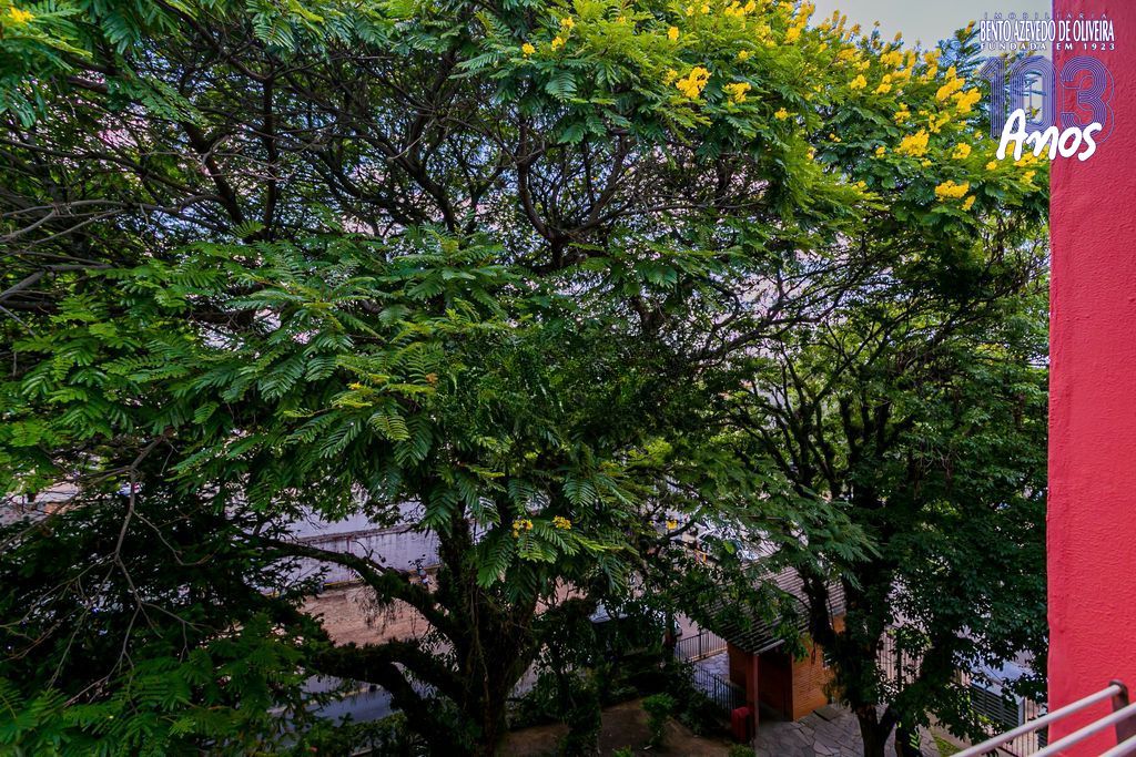 Apartamento, 3 quartos, 66 m² - Foto 7