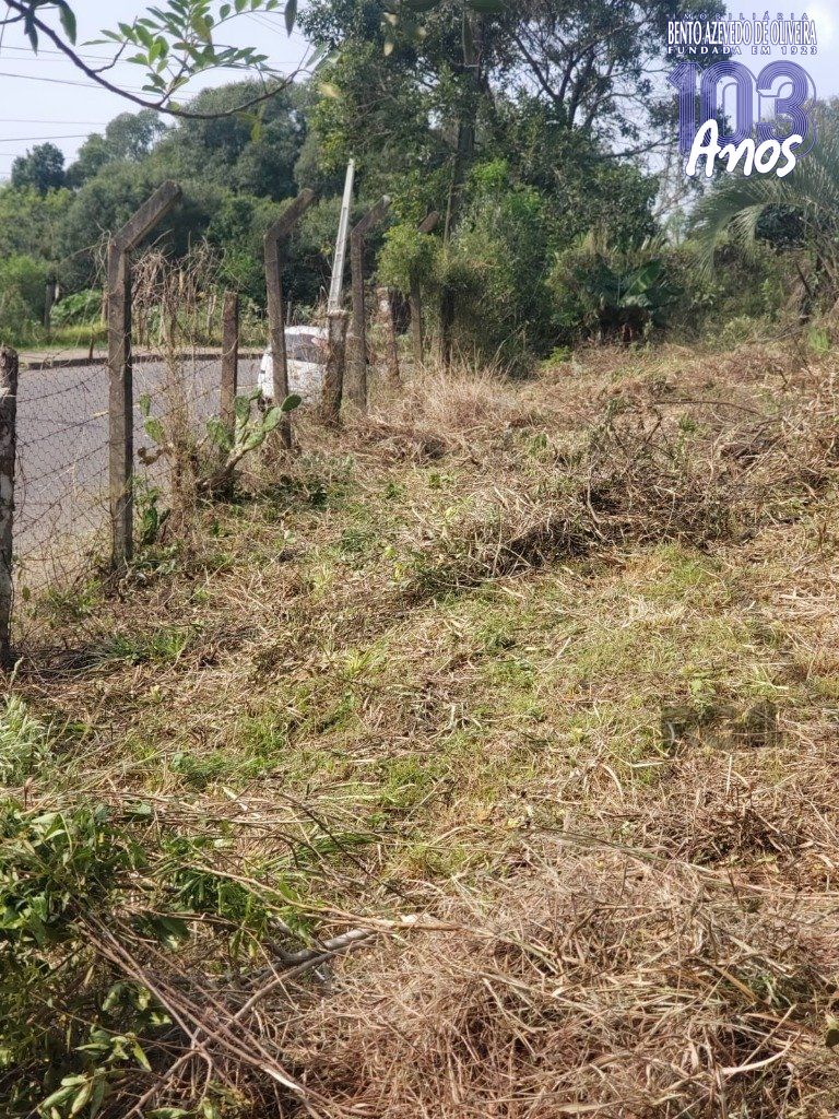 Terreno, 2003 m² - Foto 5