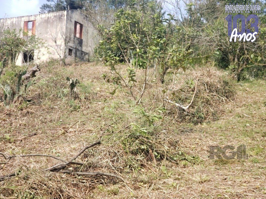 Terreno, 2003 m² - Foto 6