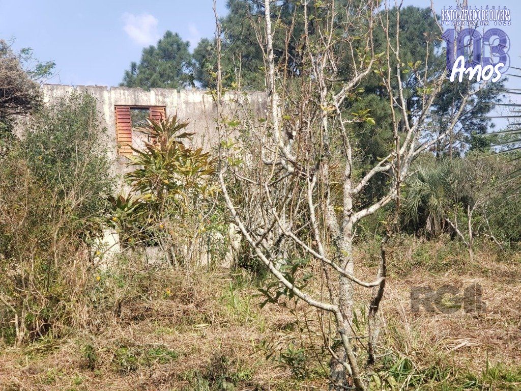 Terreno, 2003 m² - Foto 7