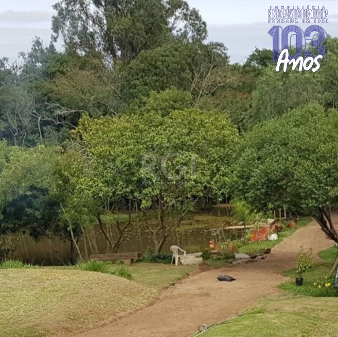 Terreno, 2 hectares - Foto 4
