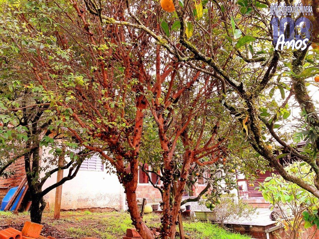 Casa, 3 quartos, 120 m² - Foto 16