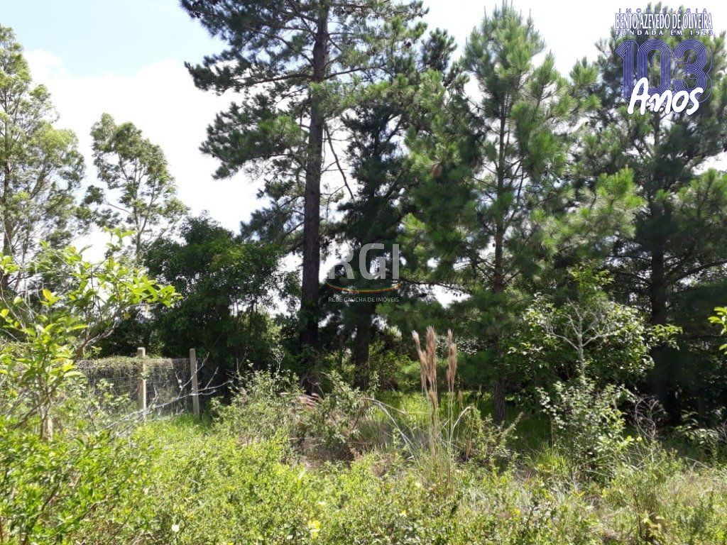 Terreno, 990 m² - Foto 18