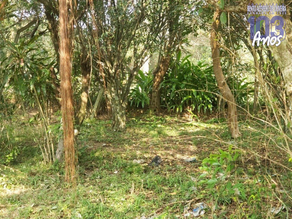 Terreno, 2003 m² - Foto 14