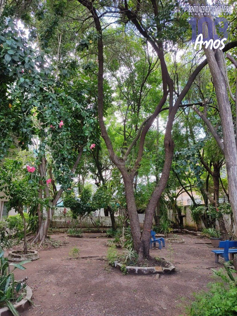 Apartamento, 3 quartos, 79 m² - Foto 21