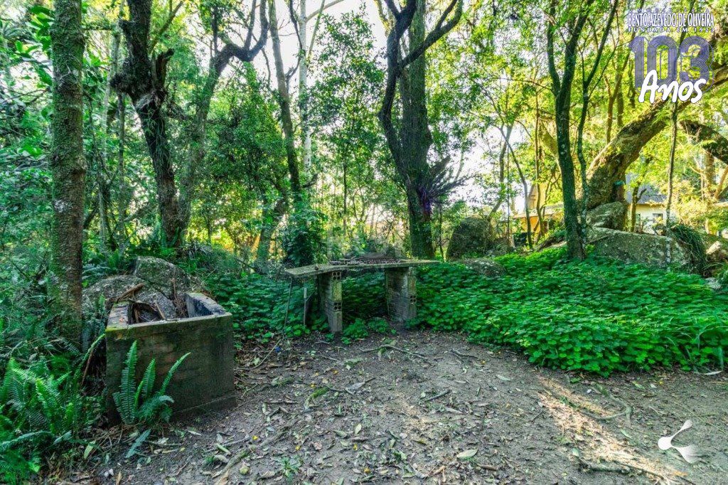 Terreno, 3 hectares - Foto 22