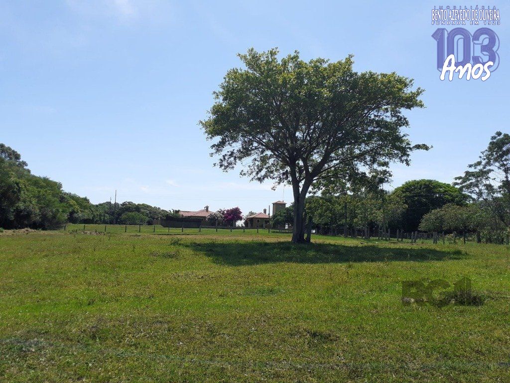 Chácara, 5 quartos, 8 hectares - Foto 21