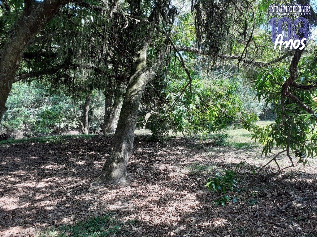 Chácara, 5 quartos, 8 hectares - Foto 15