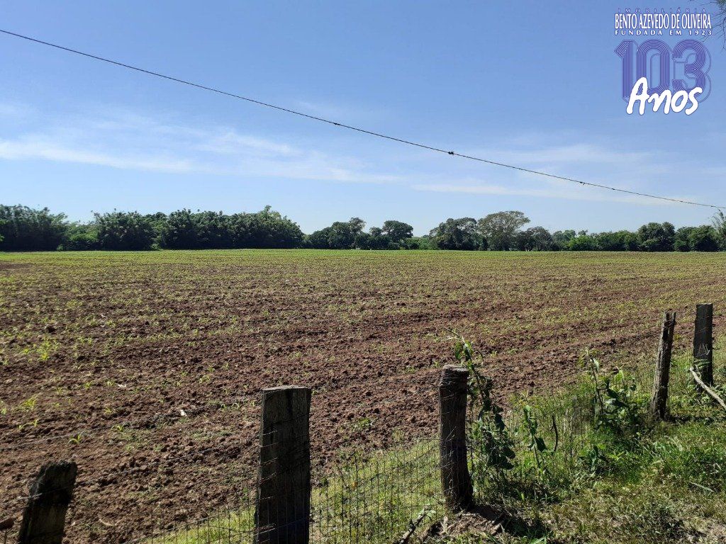 Chácara, 5 quartos, 8 hectares - Foto 17