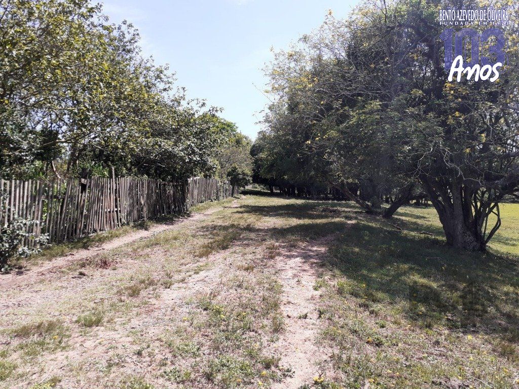 Chácara, 5 quartos, 8 hectares - Foto 22