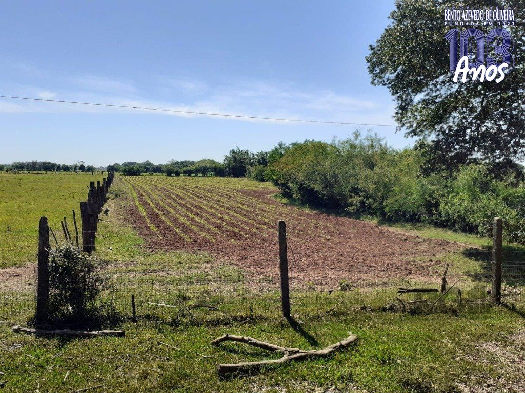 Chácara, 5 quartos, 8 hectares - Foto 18
