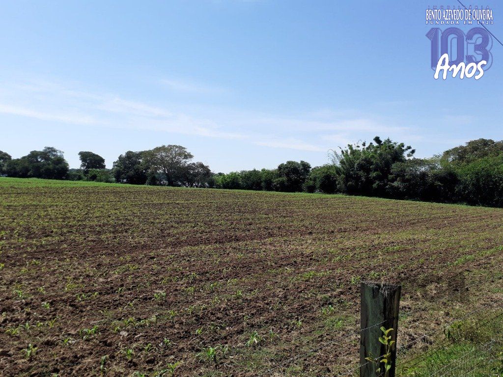 Chácara, 5 quartos, 8 hectares - Foto 19