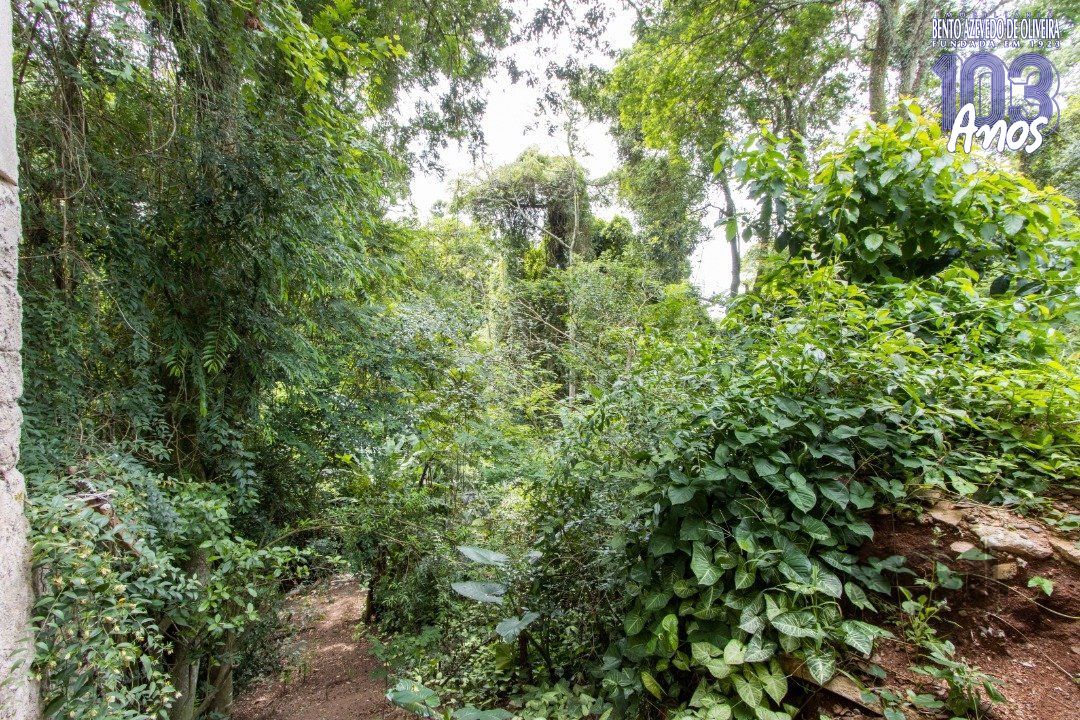 Casa, 3 quartos, 260 m² - Foto 41