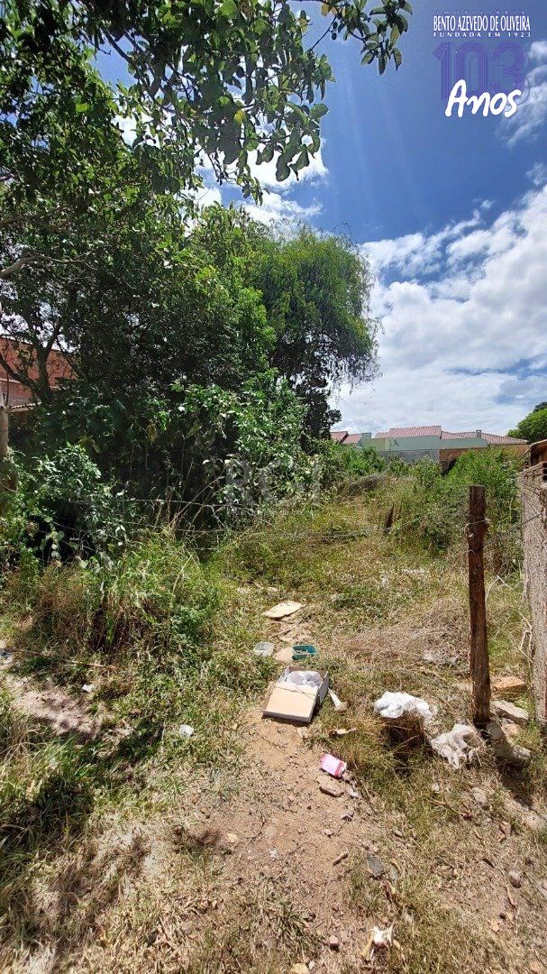 Terreno, 282 m² - Foto 6
