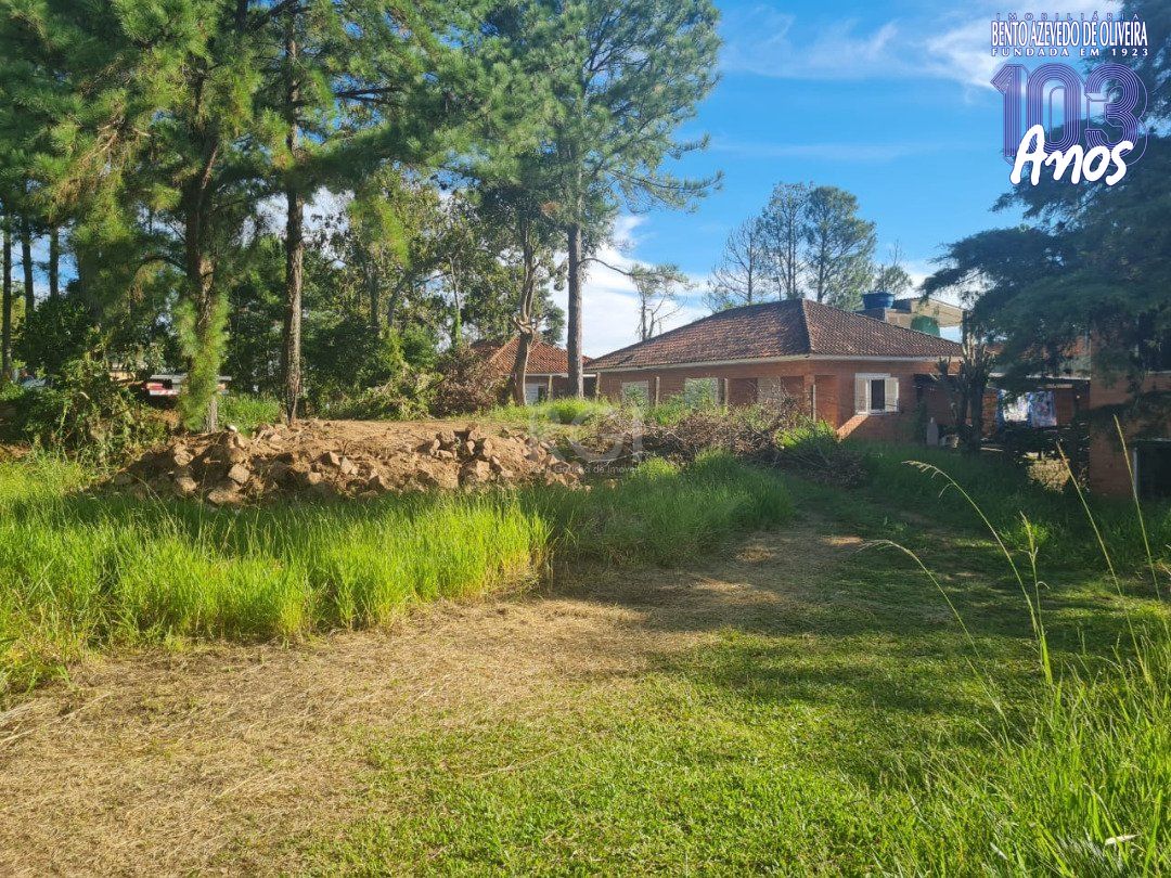 Terreno, 3 hectares - Foto 1