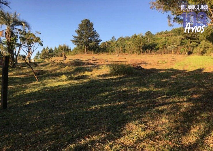 Terreno, 9562 m² - Foto 4