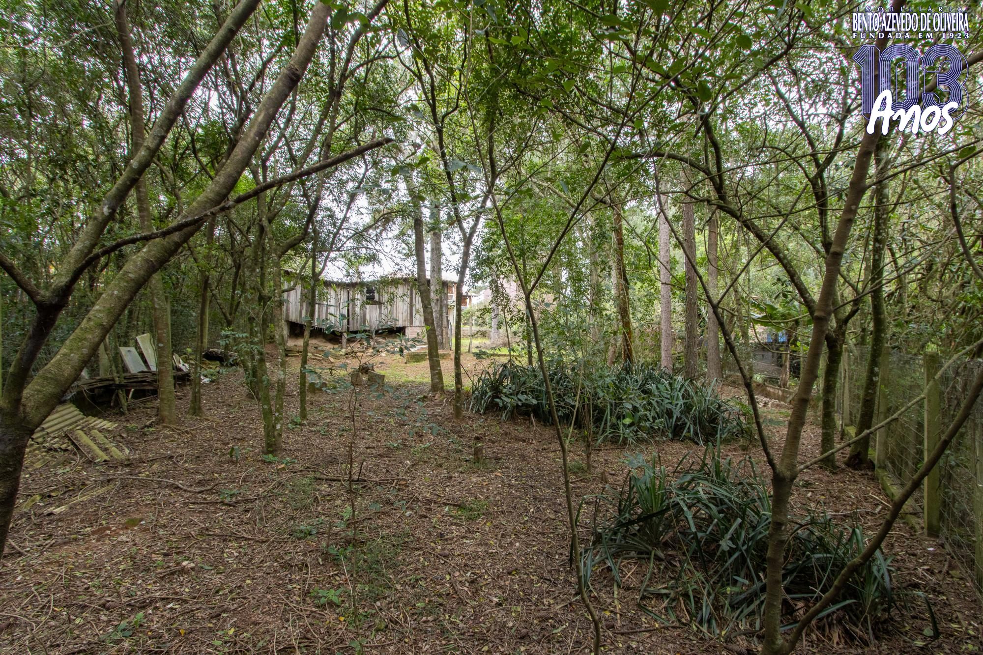 Casa, 3 quartos, 308 m² - Foto 52
