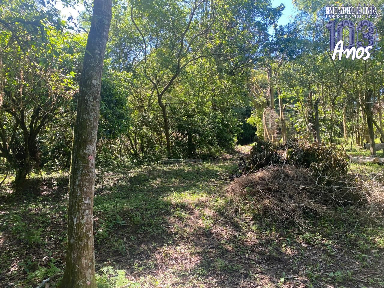 Terreno, 9750 m² - Foto 2