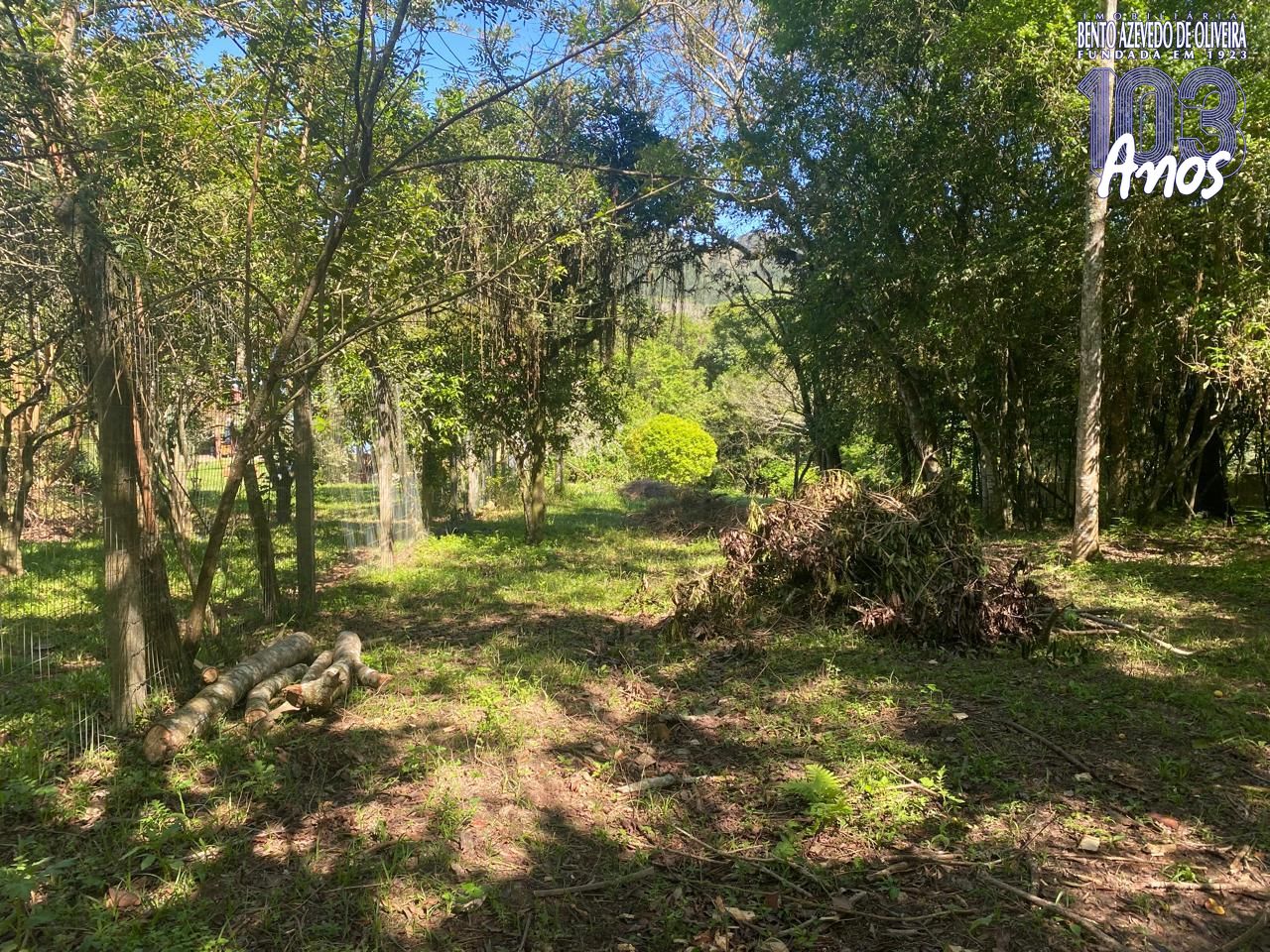 Terreno, 9750 m² - Foto 27