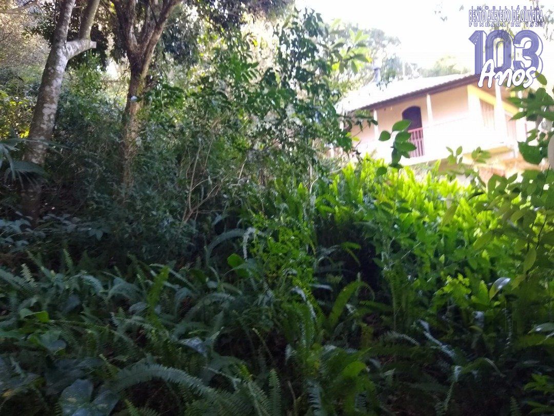 Terreno, 3032 m² - Foto 6
