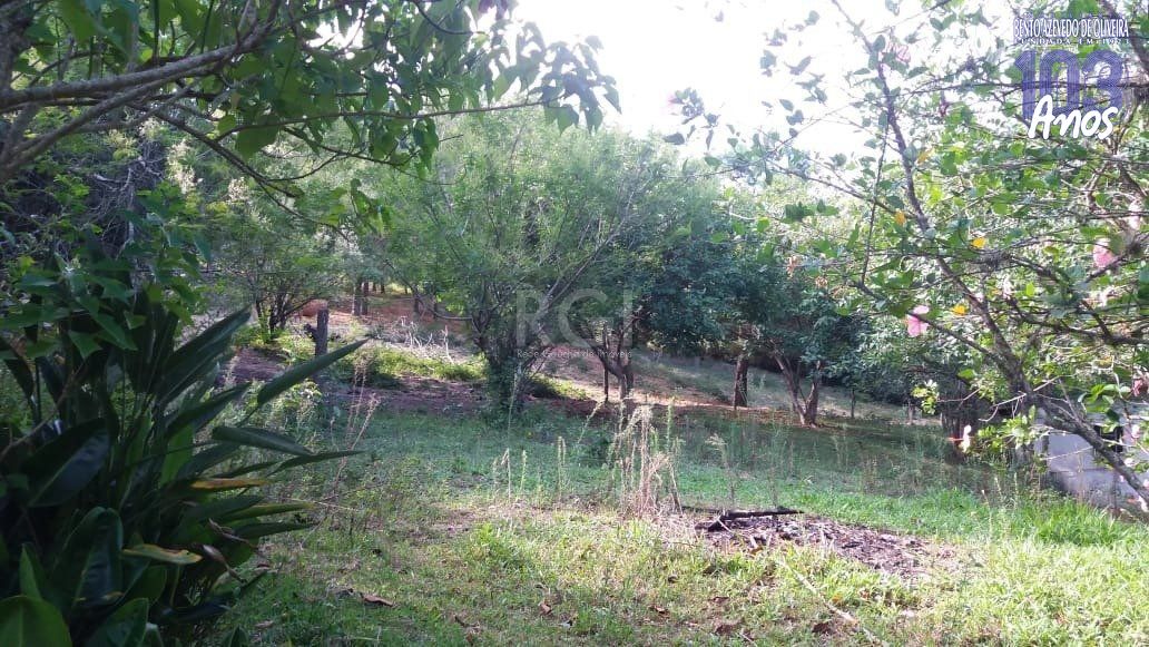 Terreno, 4 hectares - Foto 2