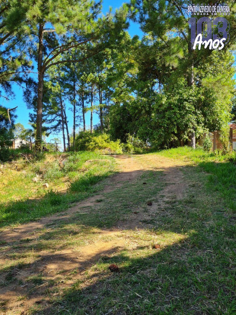 Terreno, 3 hectares - Foto 6