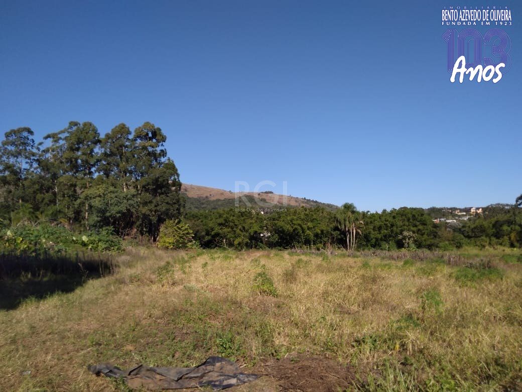 Terreno, 4 hectares - Foto 7