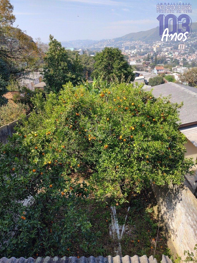 Casa, 3 quartos, 335 m² - Foto 22
