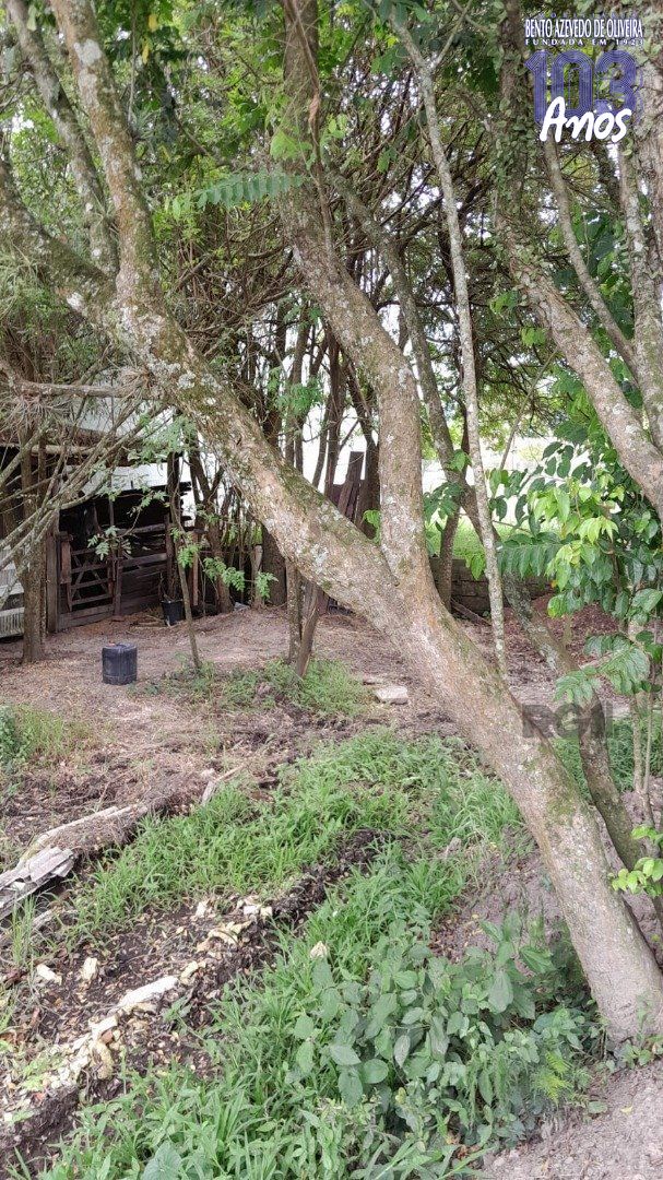 Terreno, 1000 m² - Foto 8