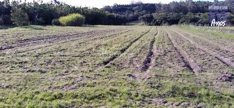 Terreno, 4743 hectares - Foto 6