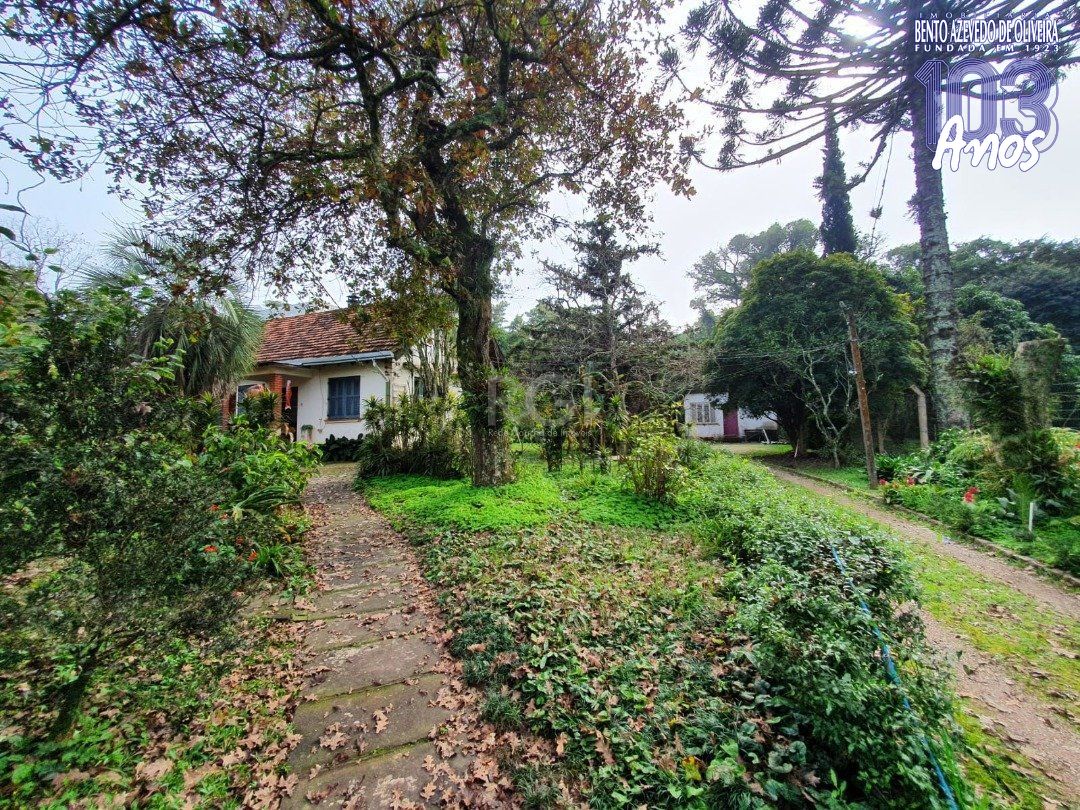 Terreno, 5332 m² - Foto 5