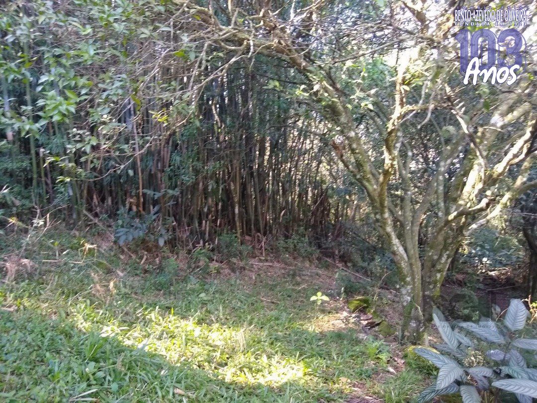 Terreno, 3032 m² - Foto 19