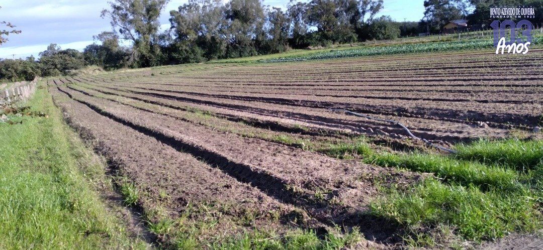 Terreno, 4743 hectares - Foto 1
