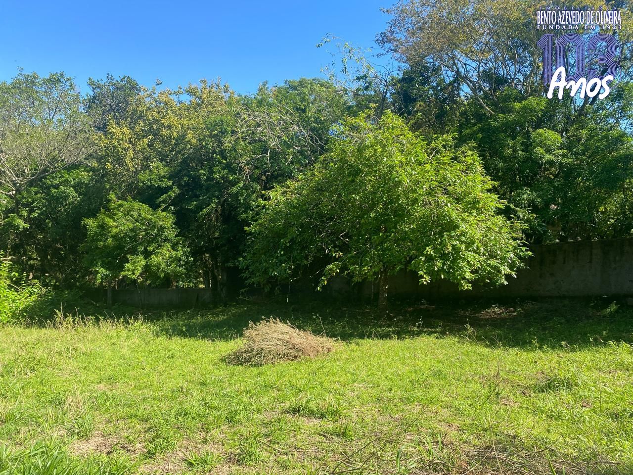 Terreno, 9750 m² - Foto 10