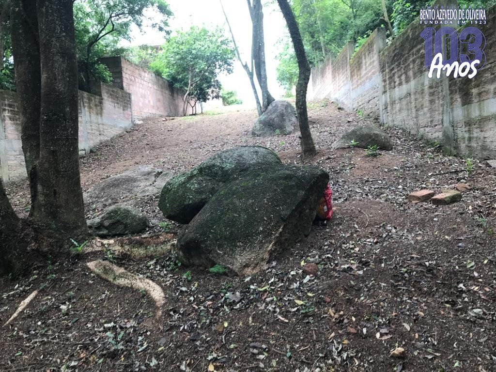 Terreno, 940 m² - Foto 9