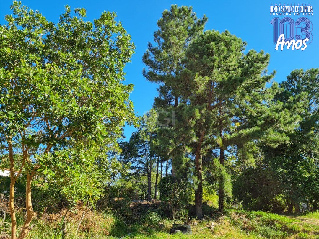 Terreno, 3 hectares - Foto 4