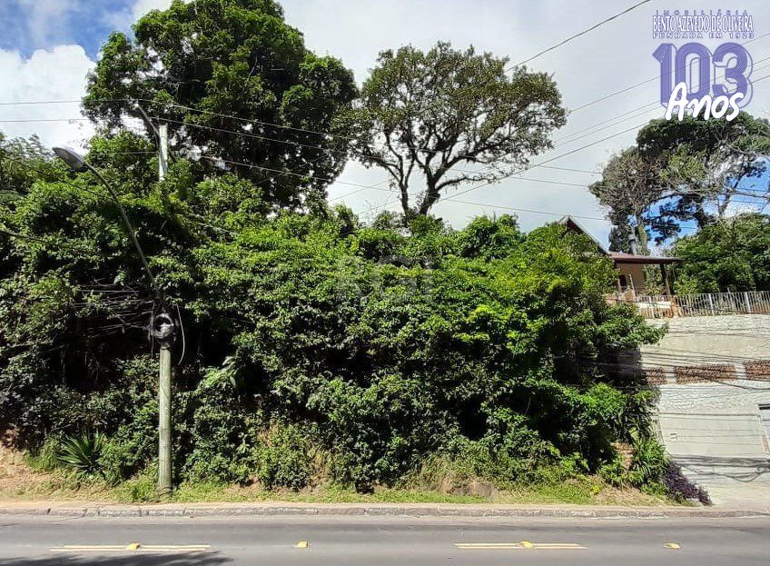 Terreno, 201 m² - Foto 3